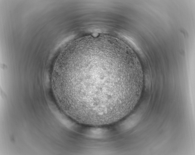 X0000091200453200708091310