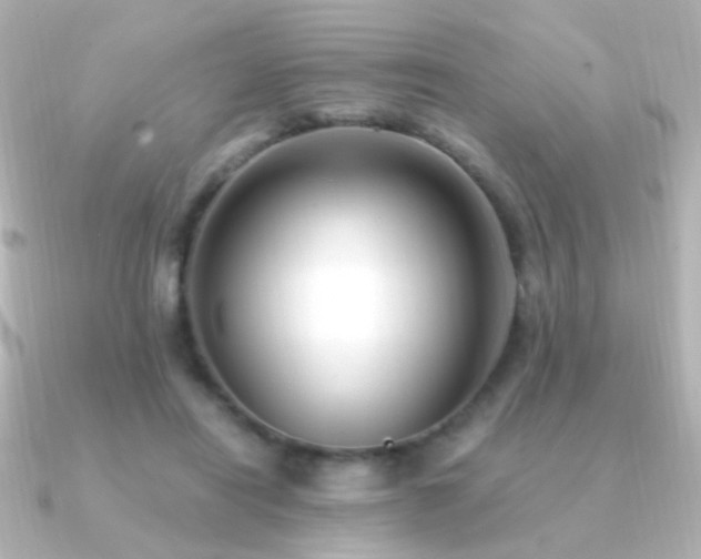 X0000091200454200708091310