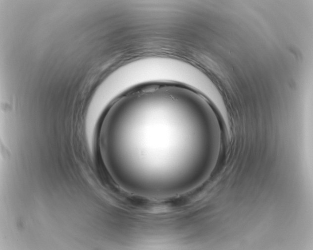 X0000091200456200708091310
