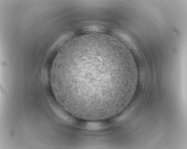 X0000091200457200708091310