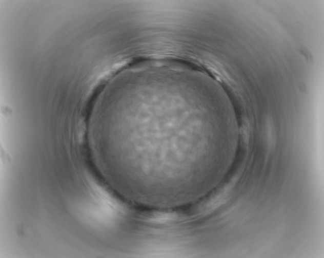 X0000091200458200708091310