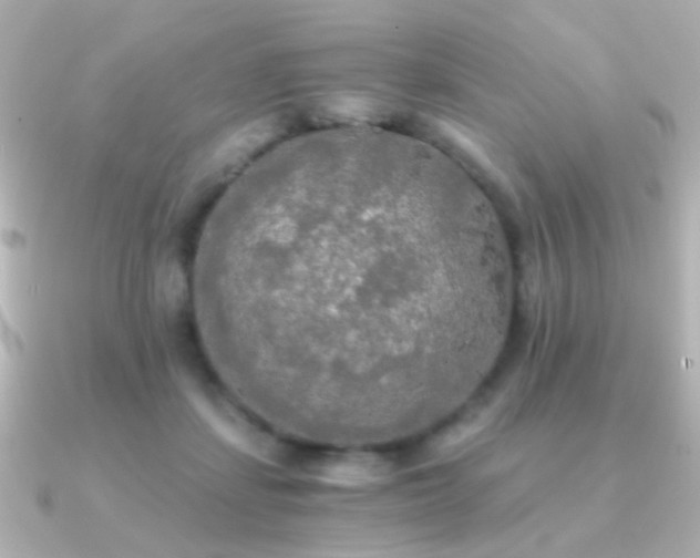 X0000091200459200708091310