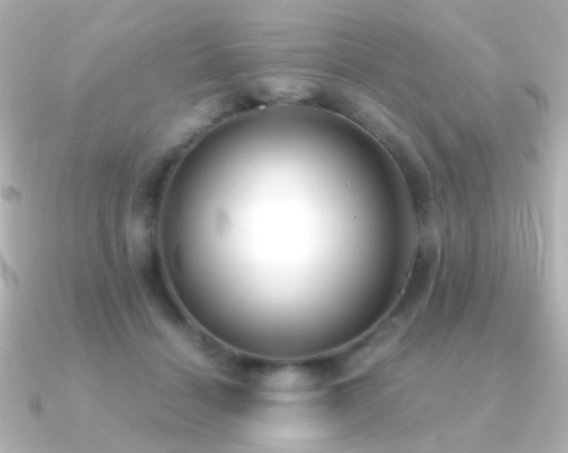 X0000091200460200708091310