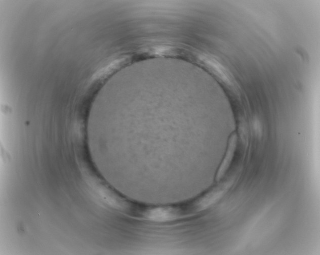 X0000091200461200708091310