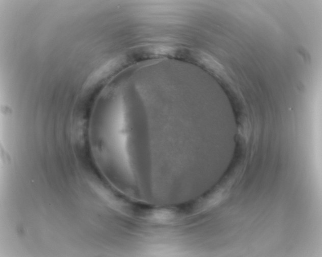 X0000091200462200708091310