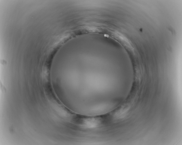 X0000091200465200708091310