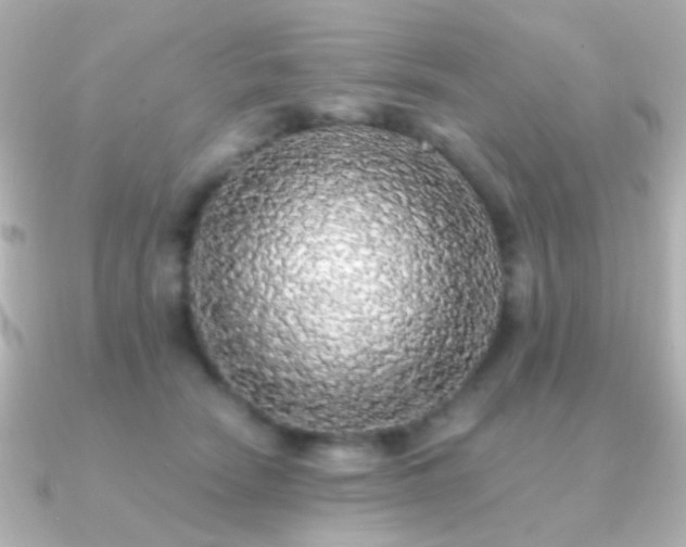 X0000091200466200708091310