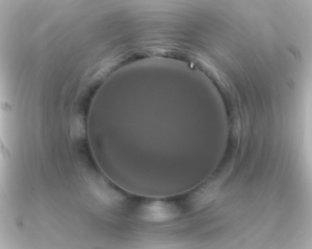 X0000091200467200708091310