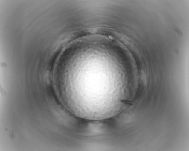 X0000091200470200708091310