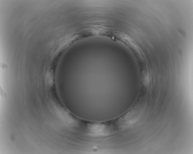 X0000091200471200708091310