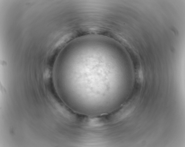 X0000091200472200708091310