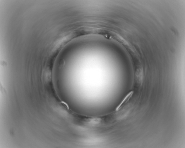 X0000091200474200708091310