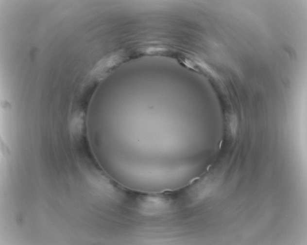 X0000091200475200708091310