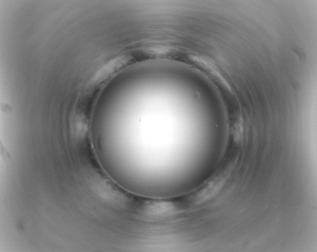 X0000091200476200708091310