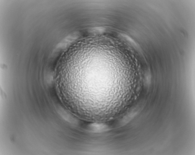 X0000091200477200708091310