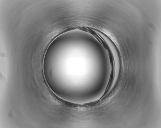 X0000091200481200708091310