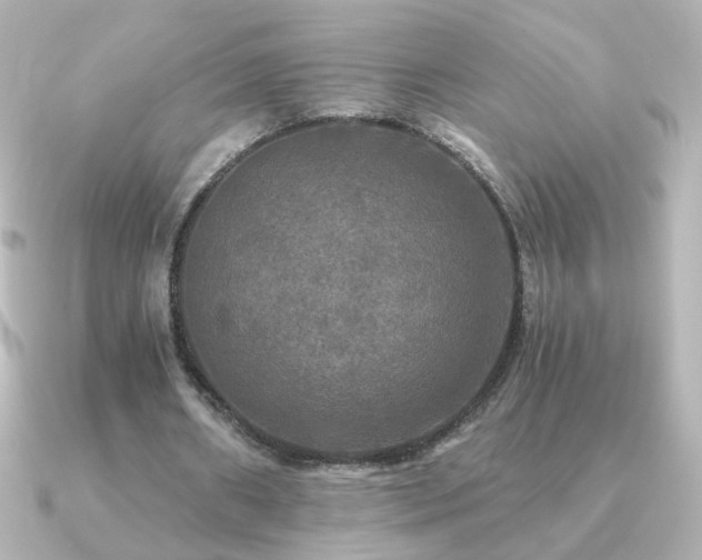 X0000091200482200708091310