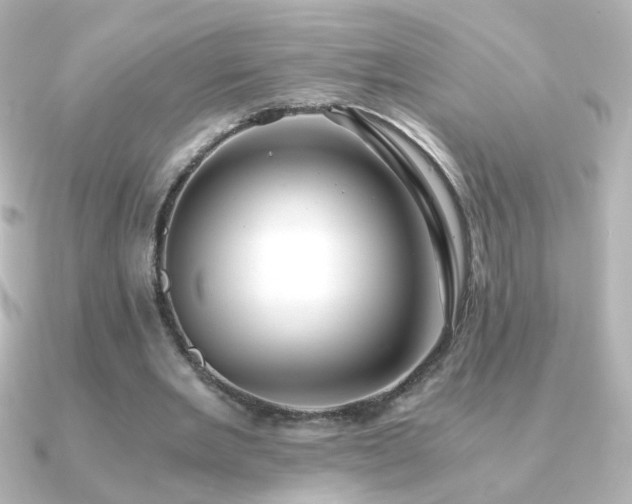 X0000091200485200708091310