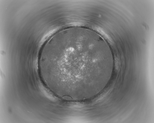X0000091200486200708091310