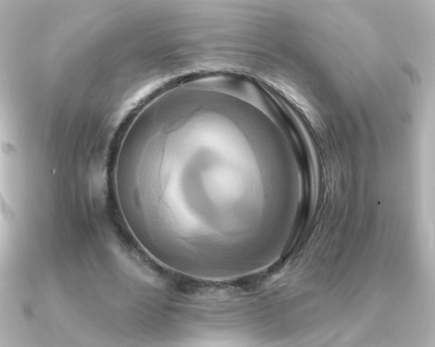 X0000091200488200708091309
