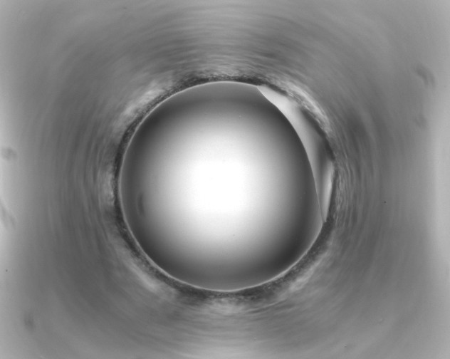 X0000091200489200708091309