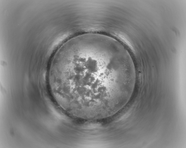 X0000091200491200708091309