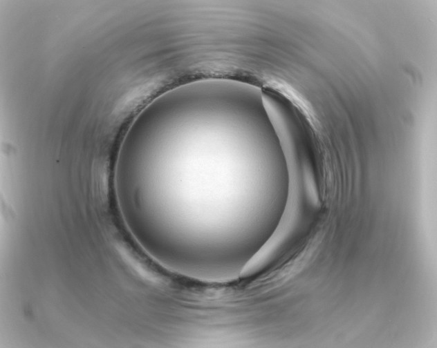 X0000091200493200708091309