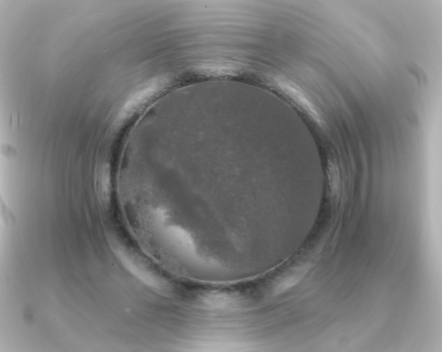 X0000091200494200708091309
