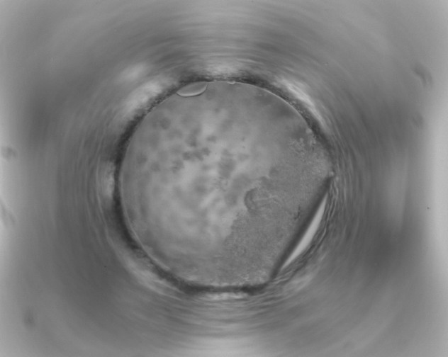 X0000091200495200708091309