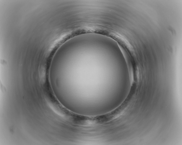 X0000091200496200708091309