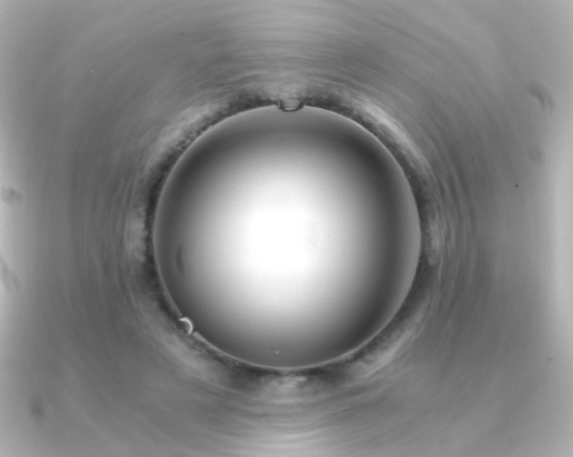 X0000091200497200708091309