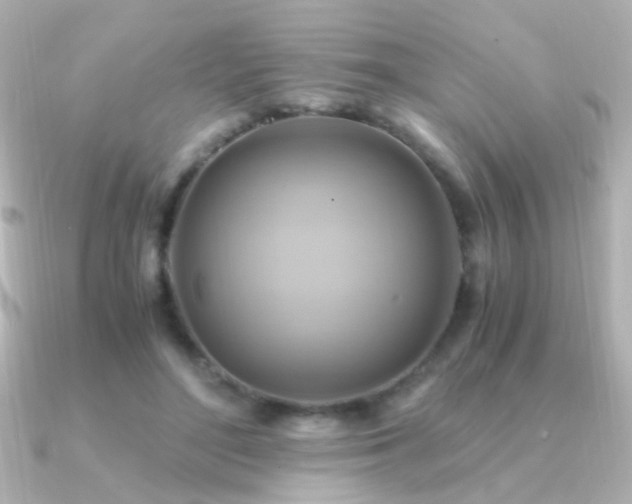 X0000091200500200708091309