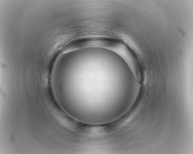 X0000091200501200708091309