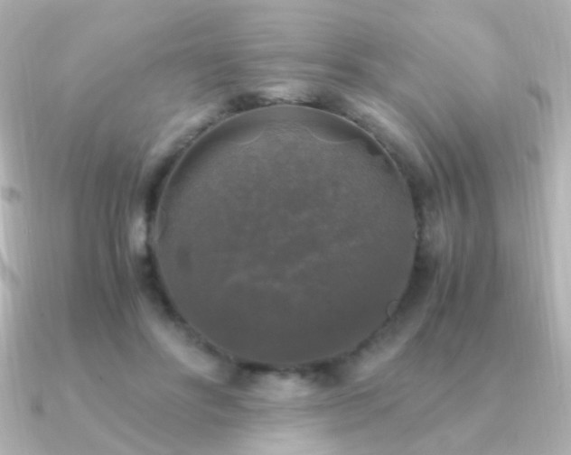 X0000091200502200708091309