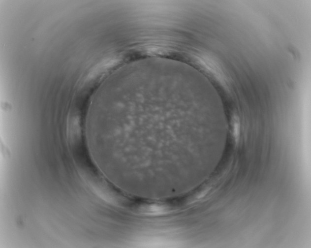 X0000091200506200708091309