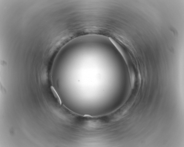 X0000091200508200708091309