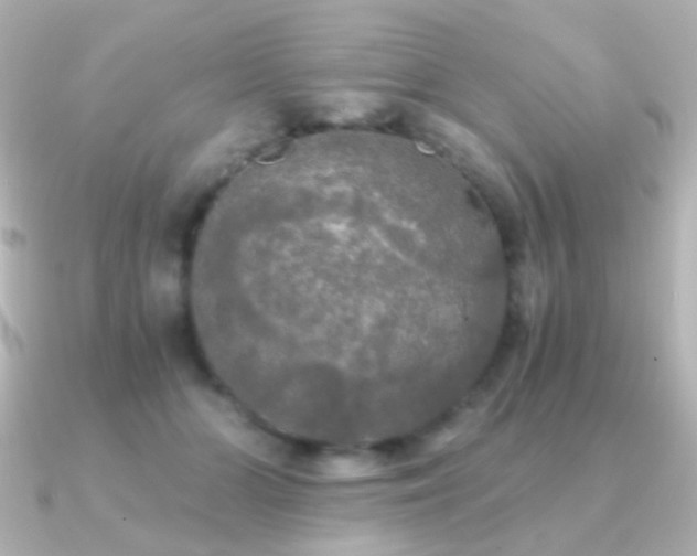 X0000091200510200708091309