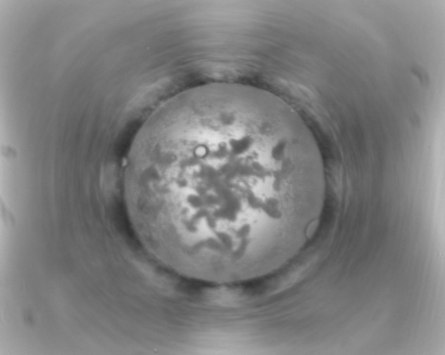X0000091200511200708091309