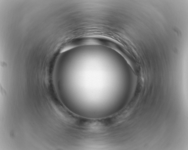 X0000091200512200708091309