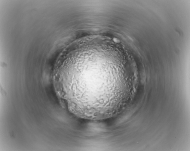 X0000091200515200708091309