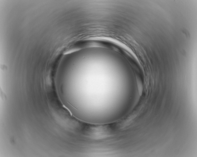 X0000091200516200708091309