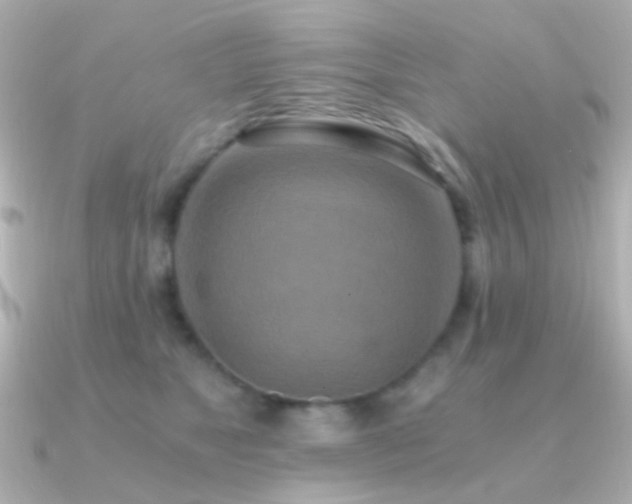 X0000091200517200708091309