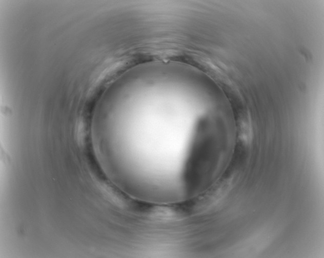 X0000091200519200708091309