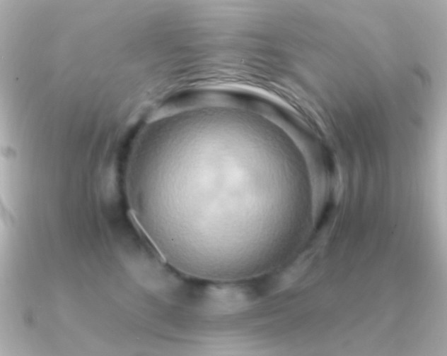 X0000091200520200708091309
