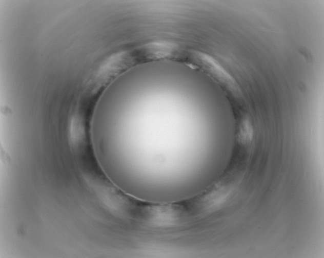 X0000091200524200708091309