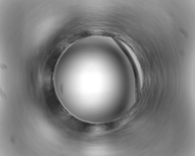 X0000091200525200708091309
