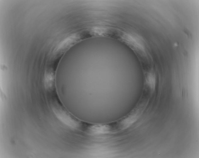 X0000091200526200708091309