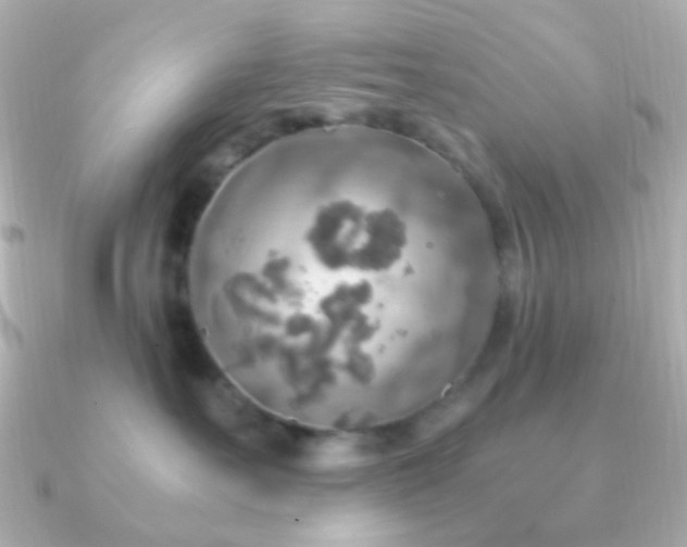 X0000091200527200708091309