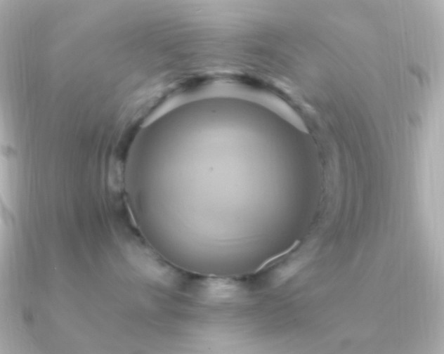 X0000091200528200708091309
