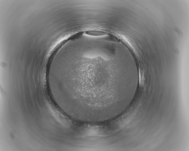 X0000091200531200708091308